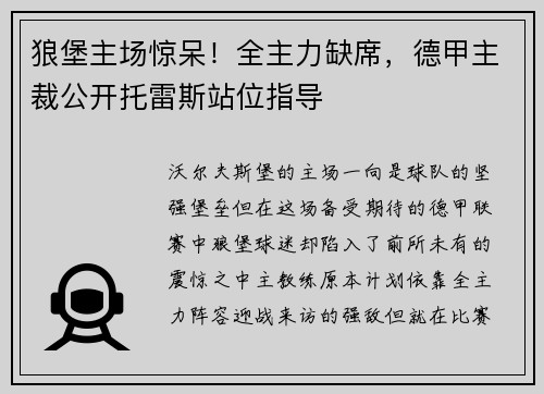 狼堡主场惊呆！全主力缺席，德甲主裁公开托雷斯站位指导