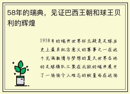 58年的瑞典，见证巴西王朝和球王贝利的辉煌